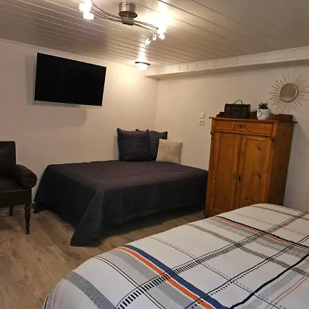 Le Repos Des Escargots - 3 Etoiles - Label Qualidog - 1 A 6 Personnes Avec Jardin Ombrage Et Amenage Apartment Hagenau